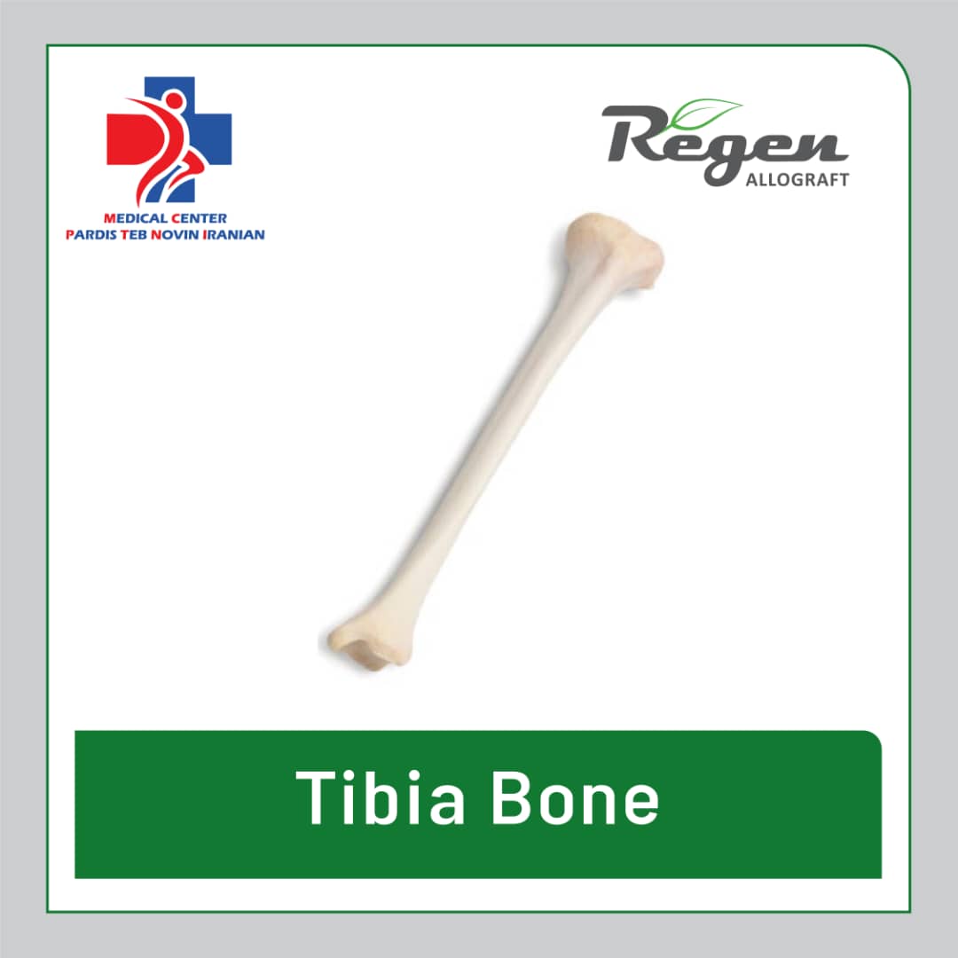گرافت استخوان درشت‌نی ریجن آلوگرافت (Regen Allograft Tibia Bone)