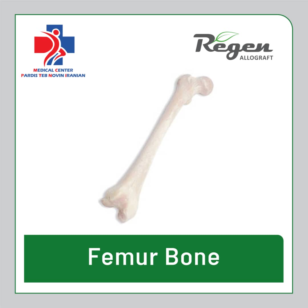 استخوان فمور آلوگرافت Regen Femur Bone برند ریجن
