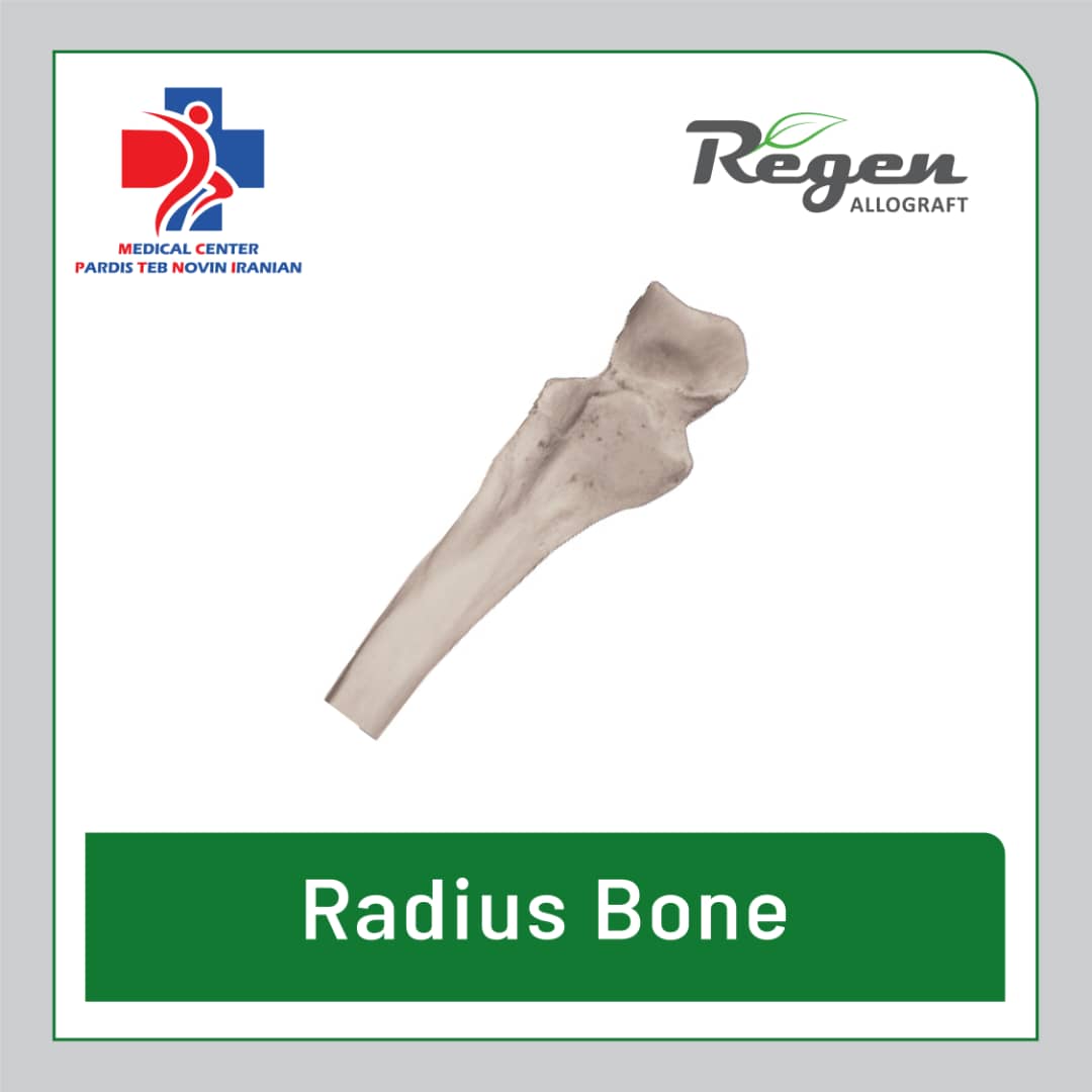 گرافت استخوانی رادیوس ریجن (Regen Allograft Radius Bone)