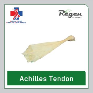 آلوگرافت تاندون آشیل (Achilles Tendon) برند Regen