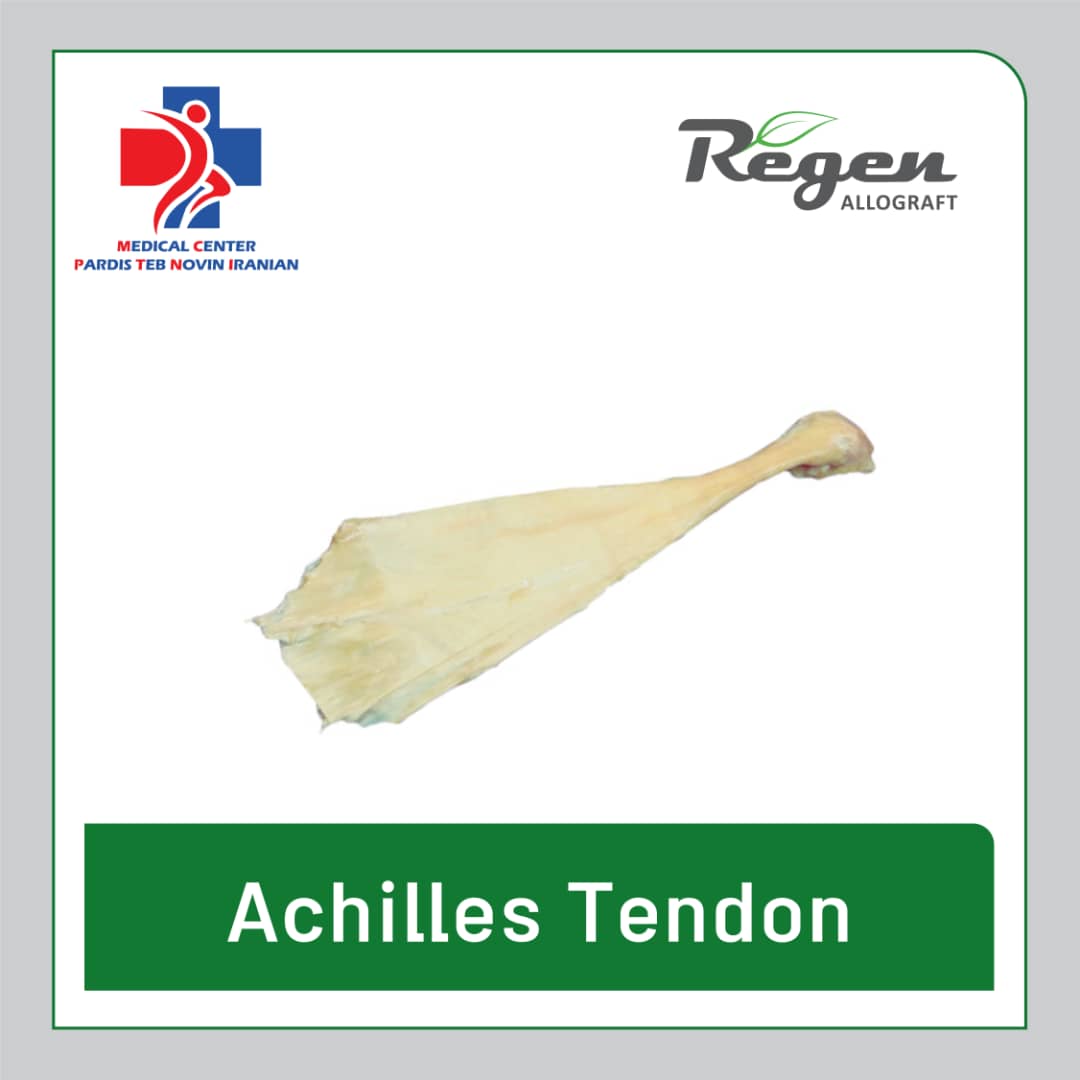 آلوگرافت تاندون آشیل (Achilles Tendon) برند Regen