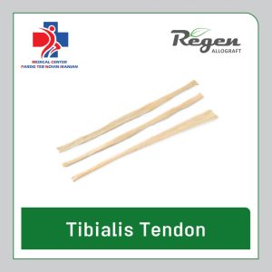 تاندون آلوگرافت تیبیالیس ریجن (Regen Allograft Tibialis Tendon)